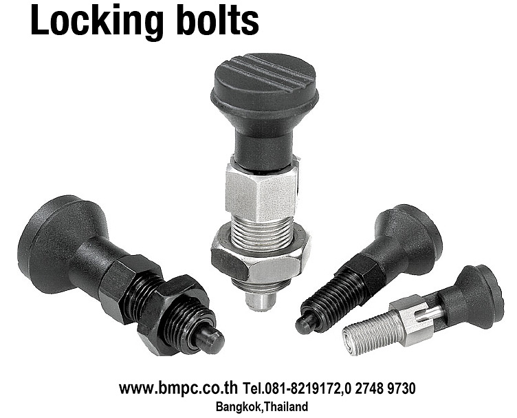 Locking bolt, Indexing plunger, Plunger with pin, สลักล๊อกตำแหน่ง, K0338, K0339, Plug index